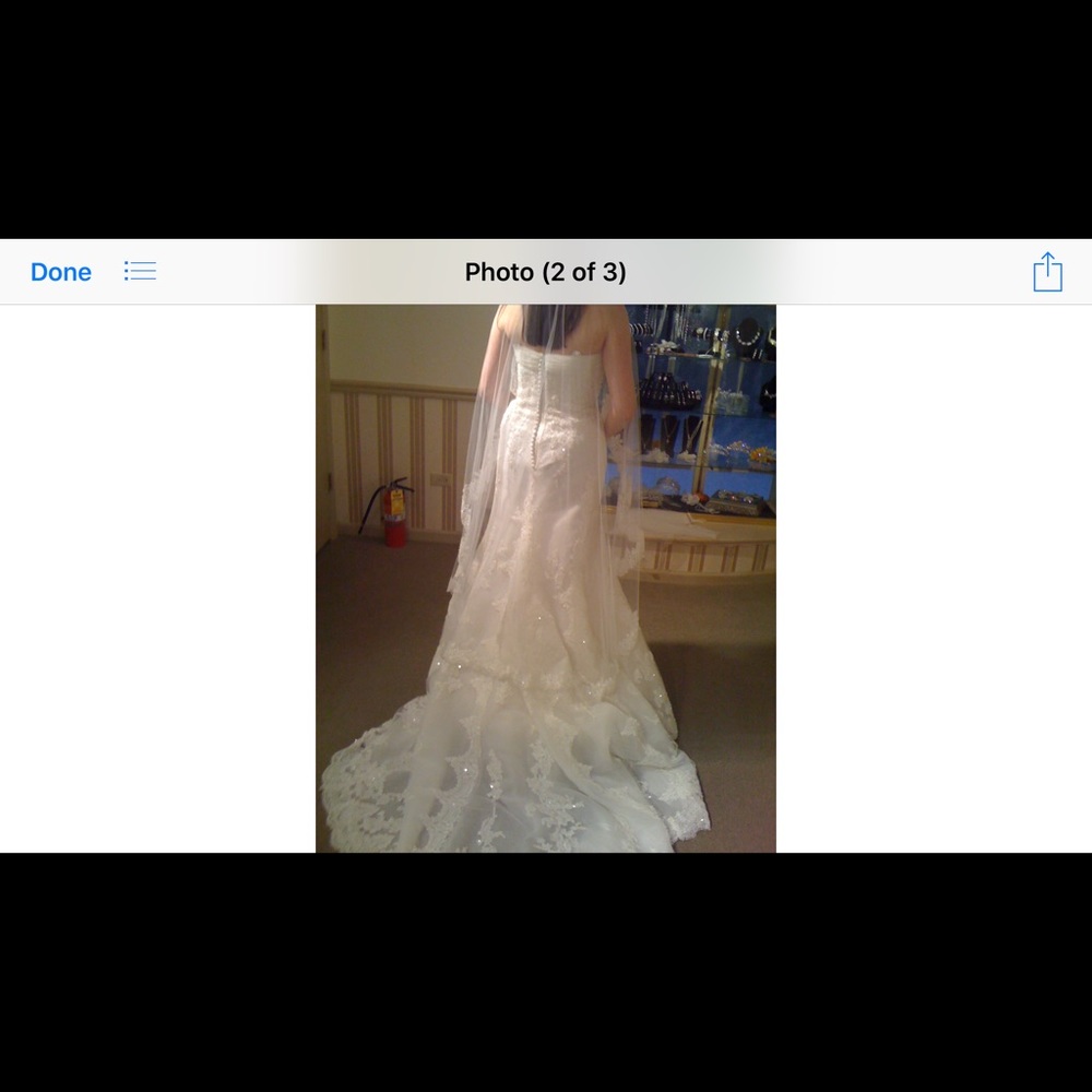 Wedding Gown and Veil